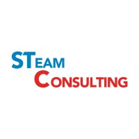 S Team Consulting